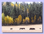 Sonn_USA_2010 110